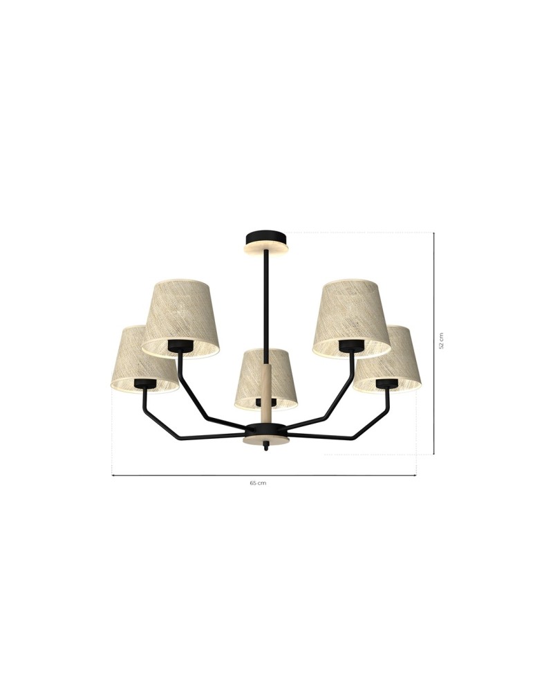 Milagro Lampa wisząca ETNA Black 5xE27 MLP7277