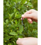 Markslojd GARDEN24 lampy - Markslojd GARDEN 24 LIGHT NET 160L Sznur Oświetleniowy Zewnętrzny 160x4W 2700K IP44 czarny/transparentny 108178 - product 2