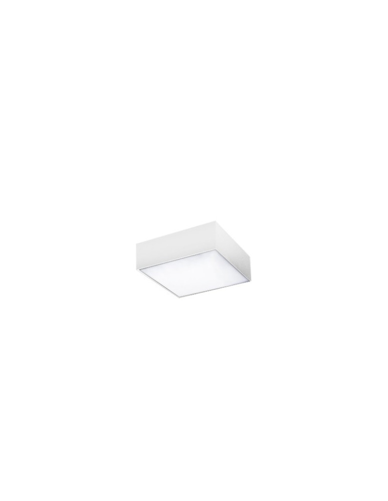Azzardo MONZA S 22 3000K WH 1xLED Sufitowa Biały AZ2269