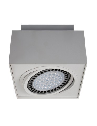 Zuma Line BOXY CL 1 Biały 1xGU10/AR111 Sufitowa 20074-WH