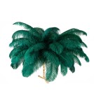 King Home Lampa podłogowa TIFFANY 175 zielona mosiądz / naturalne pióra (JL0019.GREEN) King Home Lampa podłogowa TIFFANY 175 zielona mosiądz / naturalne pióra (JL0019.GREEN)