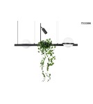 Moosee MOOSEE lampa wisząca PLANT czarna (MSE010100156) Moosee MOOSEE lampa wisząca PLANT czarna (MSE010100156)