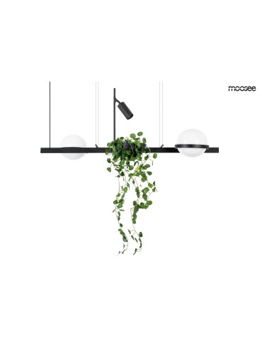 Moosee MOOSEE lampa wisząca PLANT czarna (MSE010100156)