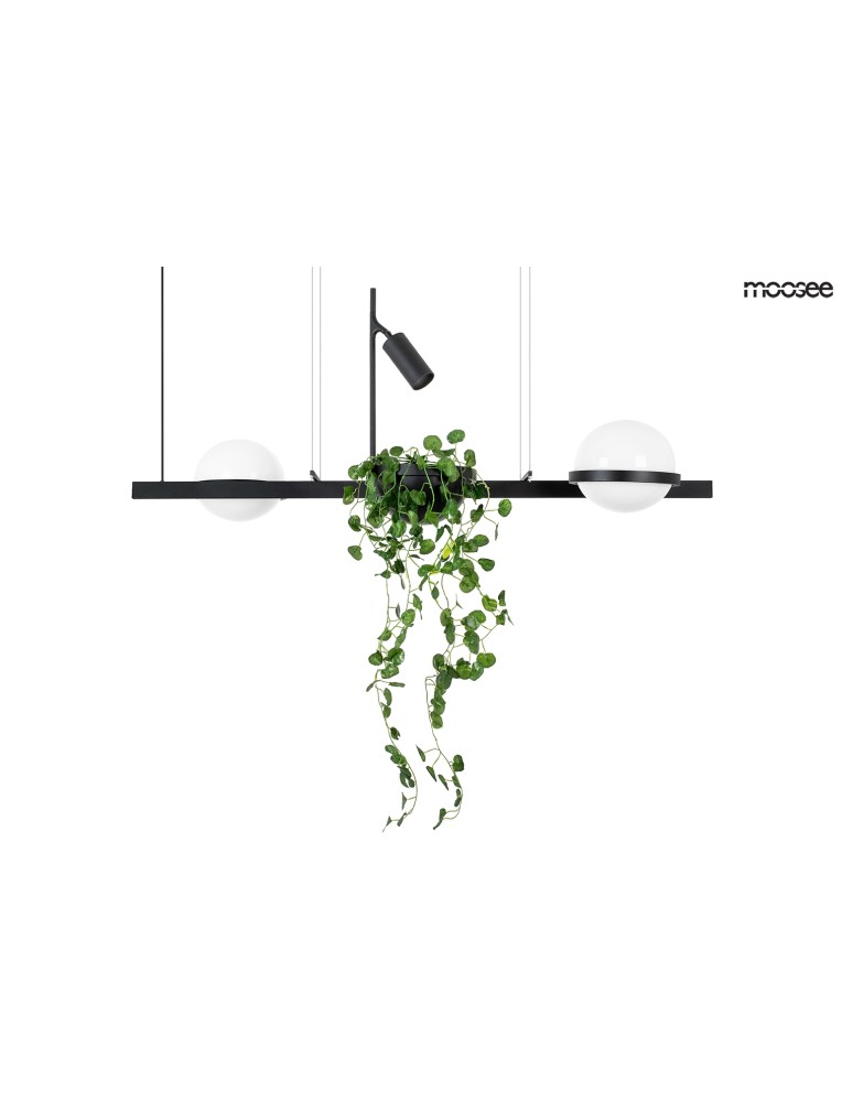 Moosee MOOSEE lampa wisząca PLANT czarna (MSE010100156) Moosee MOOSEE lampa wisząca PLANT czarna (MSE010100156)