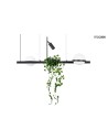 Moosee MOOSEE lampa wisząca PLANT czarna (MSE010100156) Moosee MOOSEE lampa wisząca PLANT czarna (MSE010100156)