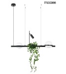 Moosee MOOSEE lampa wisząca PLANT czarna (MSE010100156) Moosee MOOSEE lampa wisząca PLANT czarna (MSE010100156)