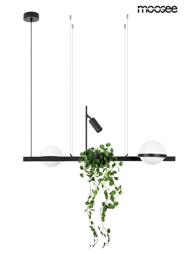 Moosee MOOSEE lampa wisząca PLANT czarna (MSE010100156) Moosee MOOSEE lampa wisząca PLANT czarna (MSE010100156)
