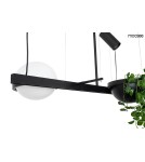 Moosee MOOSEE lampa wisząca PLANT czarna (MSE010100156) Moosee MOOSEE lampa wisząca PLANT czarna (MSE010100156)
