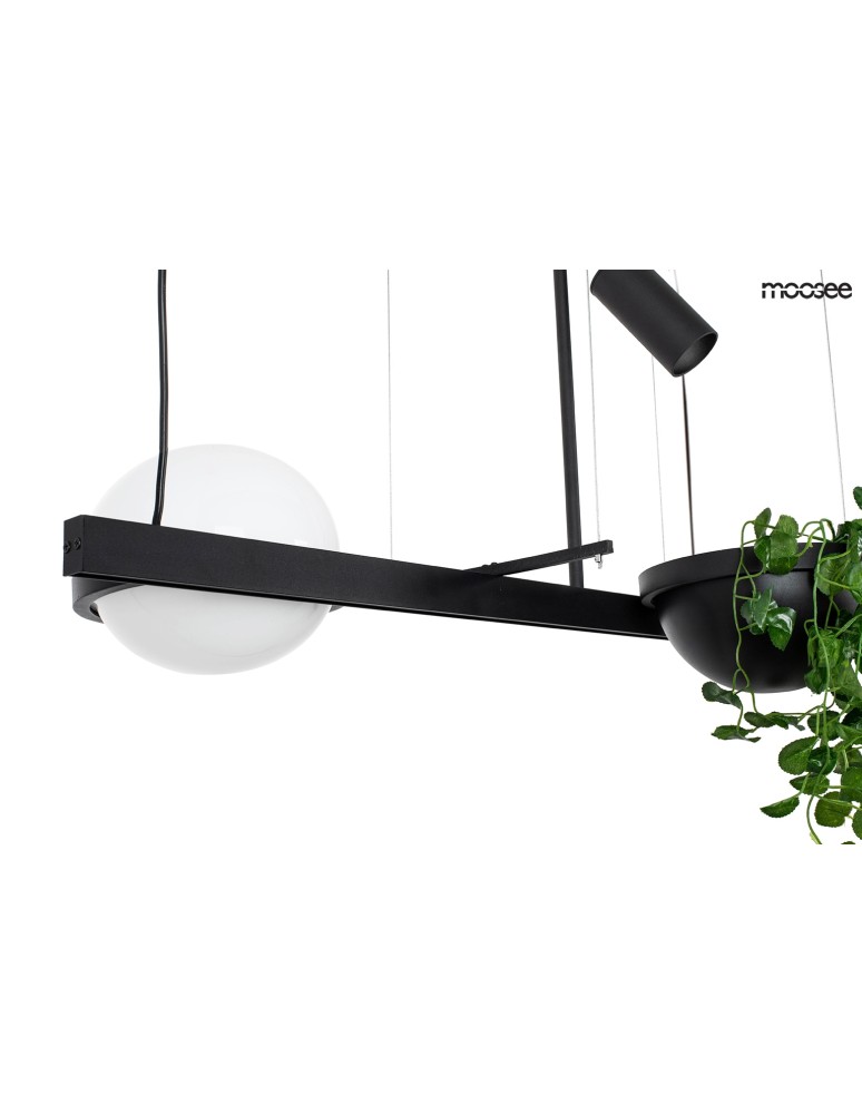 Moosee MOOSEE lampa wisząca PLANT czarna (MSE010100156) Moosee MOOSEE lampa wisząca PLANT czarna (MSE010100156)