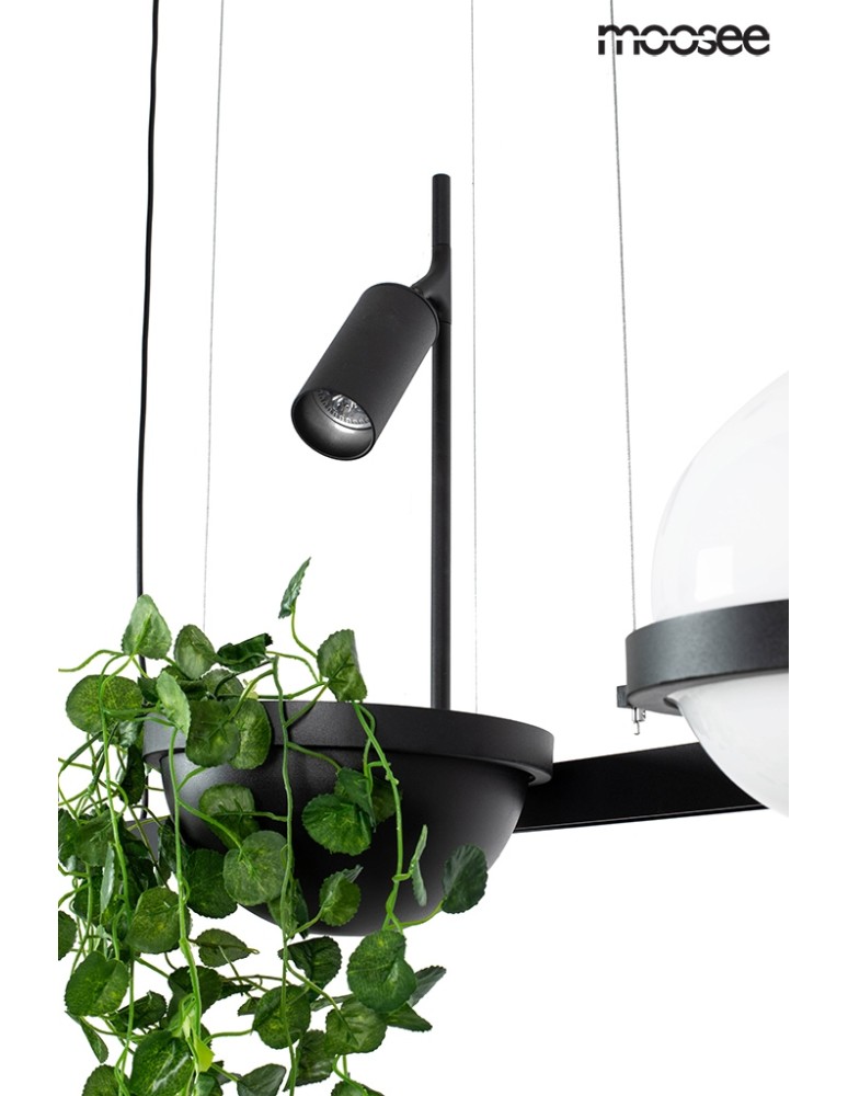 Moosee MOOSEE lampa wisząca PLANT czarna (MSE010100156) Moosee MOOSEE lampa wisząca PLANT czarna (MSE010100156)
