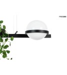 Moosee MOOSEE lampa wisząca PLANT czarna (MSE010100156) Moosee MOOSEE lampa wisząca PLANT czarna (MSE010100156)