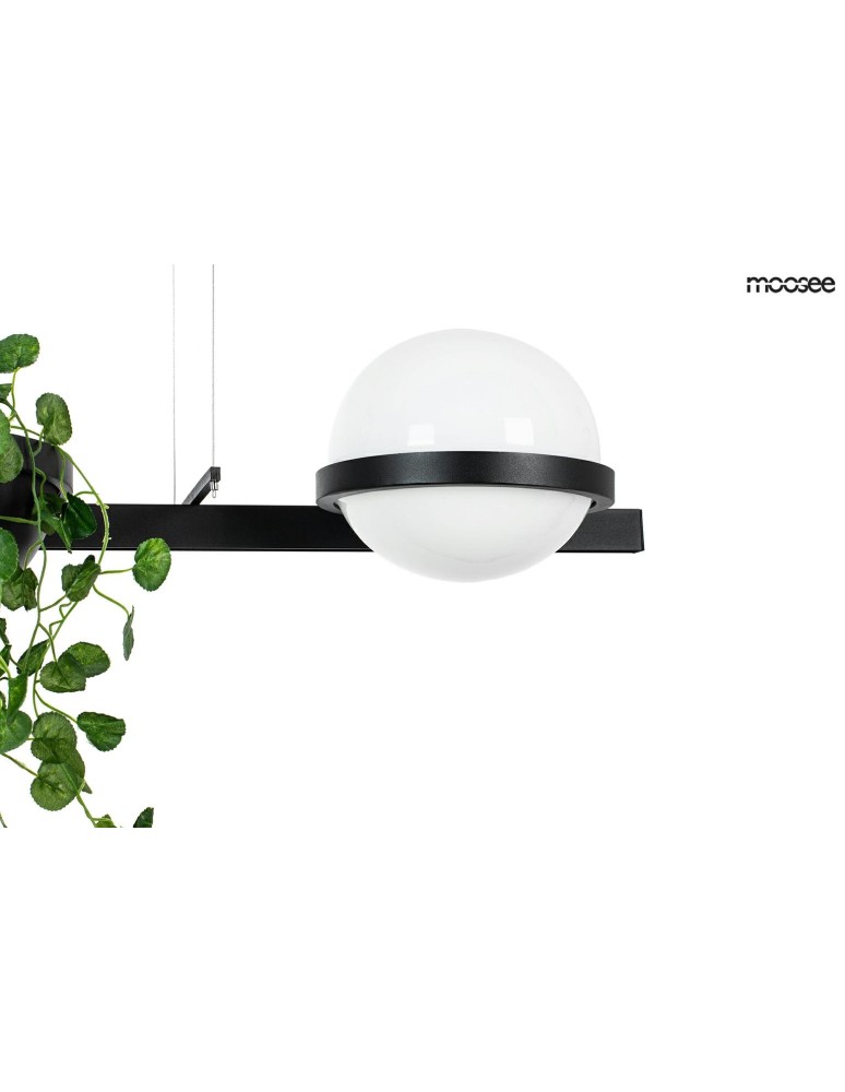 Moosee MOOSEE lampa wisząca PLANT czarna (MSE010100156) Moosee MOOSEE lampa wisząca PLANT czarna (MSE010100156)