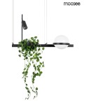 Moosee MOOSEE lampa wisząca PLANT czarna (MSE010100156) Moosee MOOSEE lampa wisząca PLANT czarna (MSE010100156)
