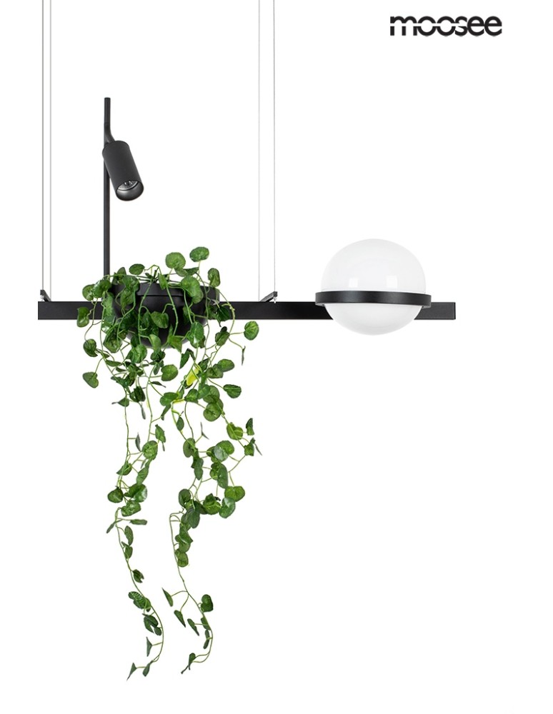Moosee MOOSEE lampa wisząca PLANT czarna (MSE010100156) Moosee MOOSEE lampa wisząca PLANT czarna (MSE010100156)