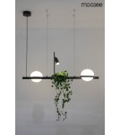Moosee MOOSEE lampa wisząca PLANT czarna (MSE010100156) Moosee MOOSEE lampa wisząca PLANT czarna (MSE010100156)