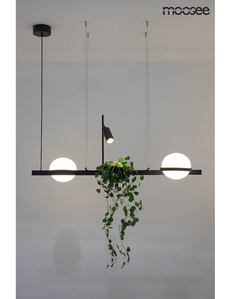 Moosee MOOSEE lampa wisząca PLANT czarna (MSE010100156) Moosee MOOSEE lampa wisząca PLANT czarna (MSE010100156)