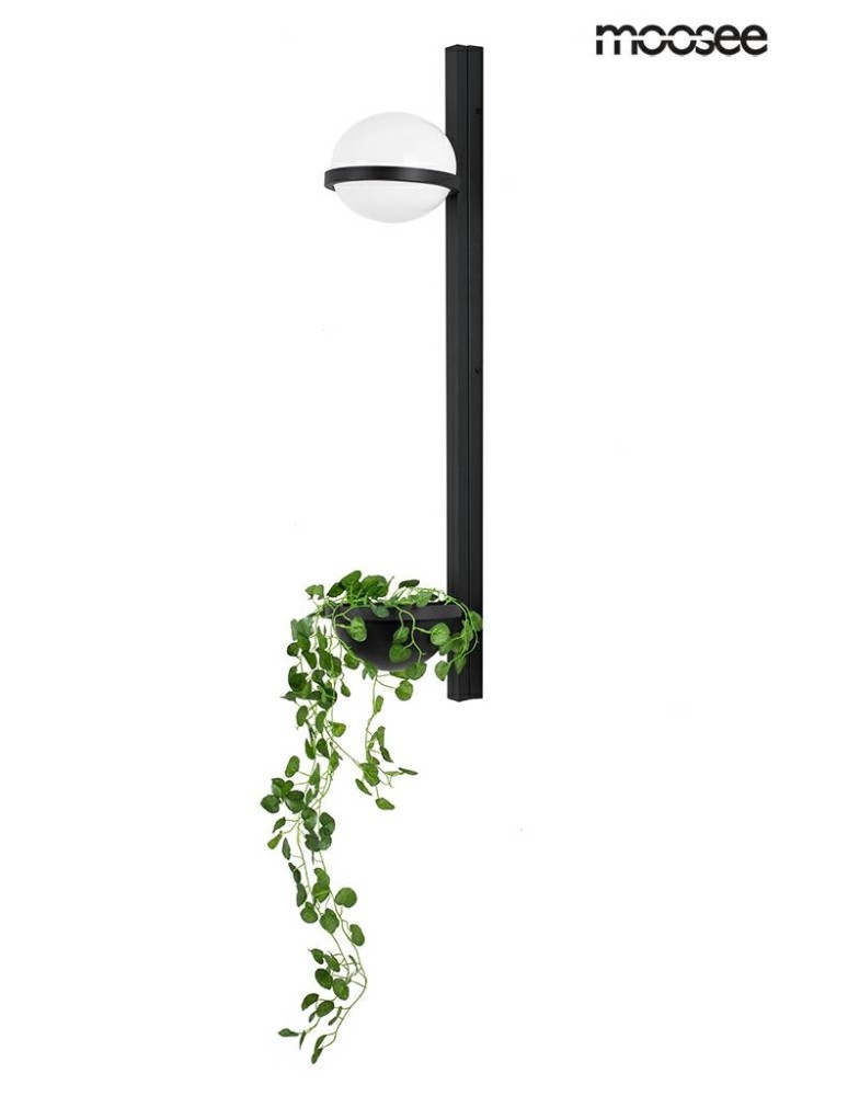 Moosee MOOSEE lampa ścienna PLANT WALL czarna (MSE010400222) Moosee MOOSEE lampa ścienna PLANT WALL czarna (MSE010400222)