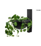 Moosee MOOSEE lampa ścienna PLANT WALL czarna (MSE010400222) Moosee MOOSEE lampa ścienna PLANT WALL czarna (MSE010400222)