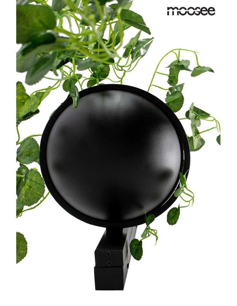 Moosee MOOSEE lampa ścienna PLANT WALL czarna (MSE010400222) Moosee MOOSEE lampa ścienna PLANT WALL czarna (MSE010400222)