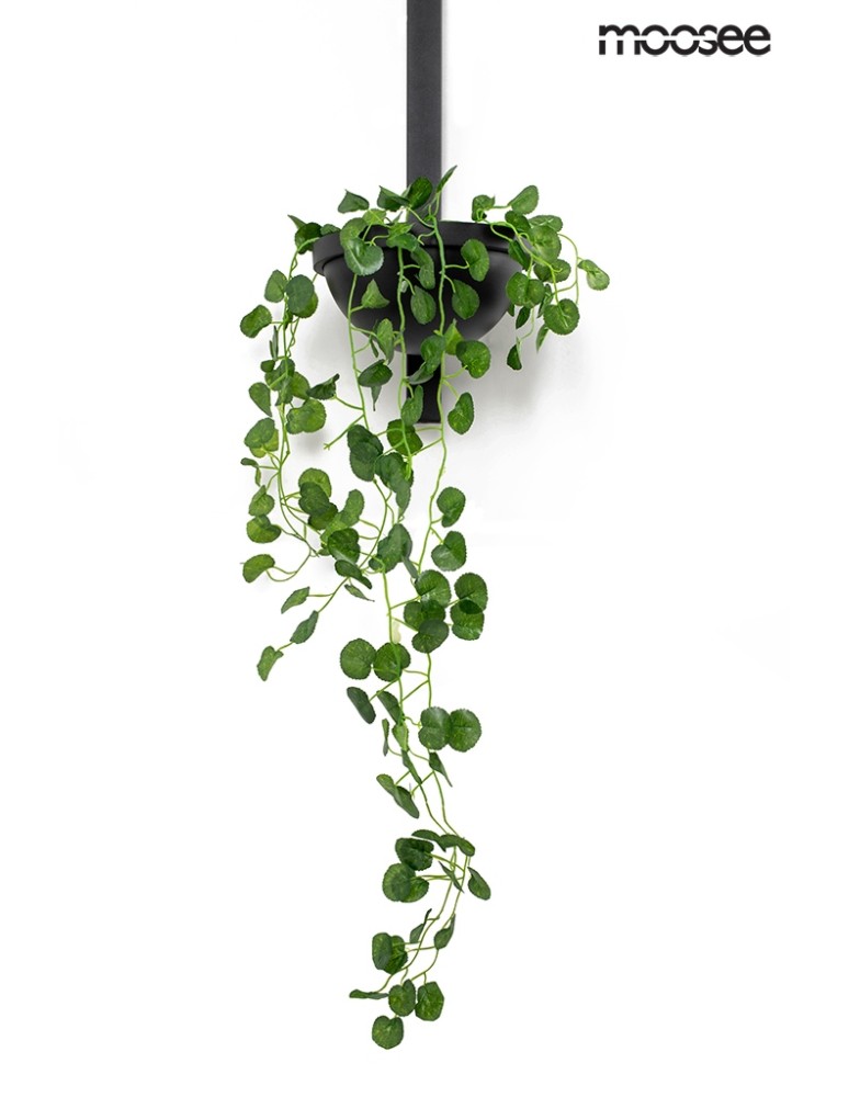 Moosee MOOSEE lampa ścienna PLANT WALL czarna (MSE010400222) Moosee MOOSEE lampa ścienna PLANT WALL czarna (MSE010400222)
