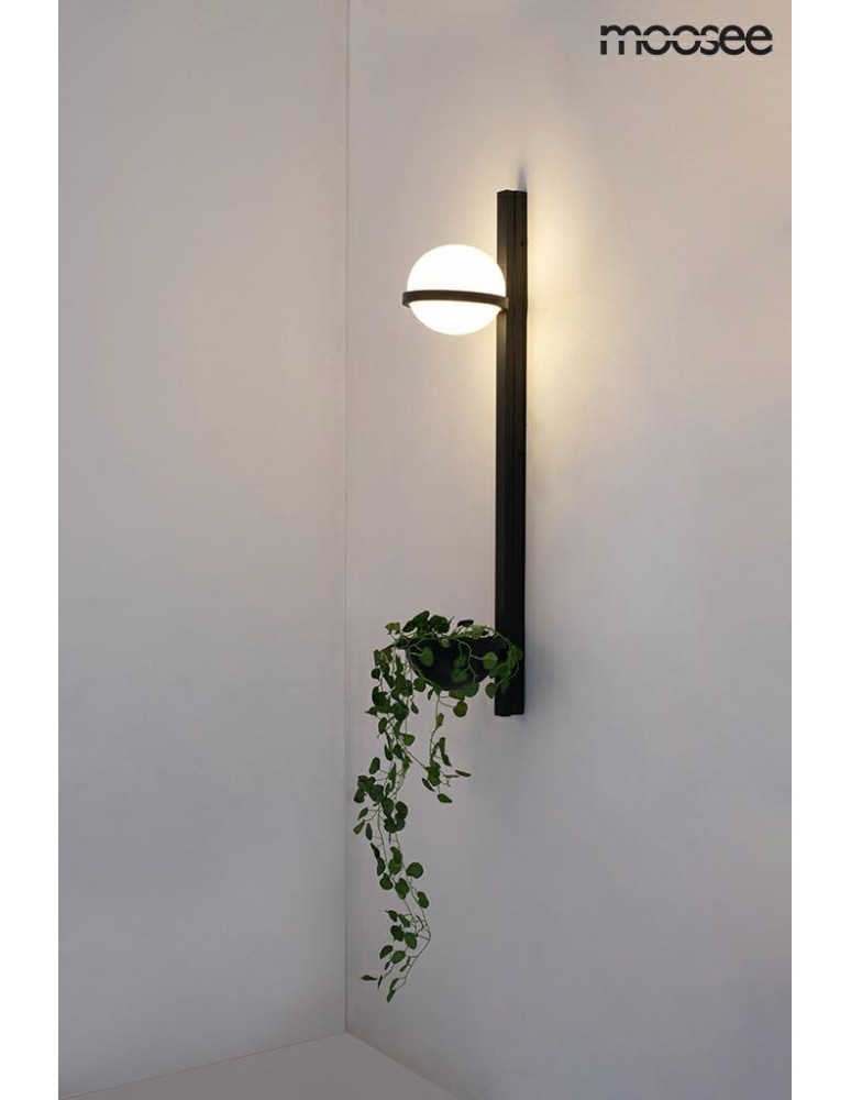 Moosee MOOSEE lampa ścienna PLANT WALL czarna (MSE010400222) Moosee MOOSEE lampa ścienna PLANT WALL czarna (MSE010400222)