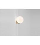 Moosee MOOSEE lampa ścienna BOLL złota (MSE010400223) Moosee MOOSEE lampa ścienna BOLL złota (MSE010400223)