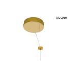 Moosee MOOSEE lampa wisząca RING LUXURY 110 złota - LED, chromowane złoto (MSE010100110) Moosee MOOSEE lampa wisząca RING LUXURY 110 złota - LED, chromowane złoto (MSE010100110)