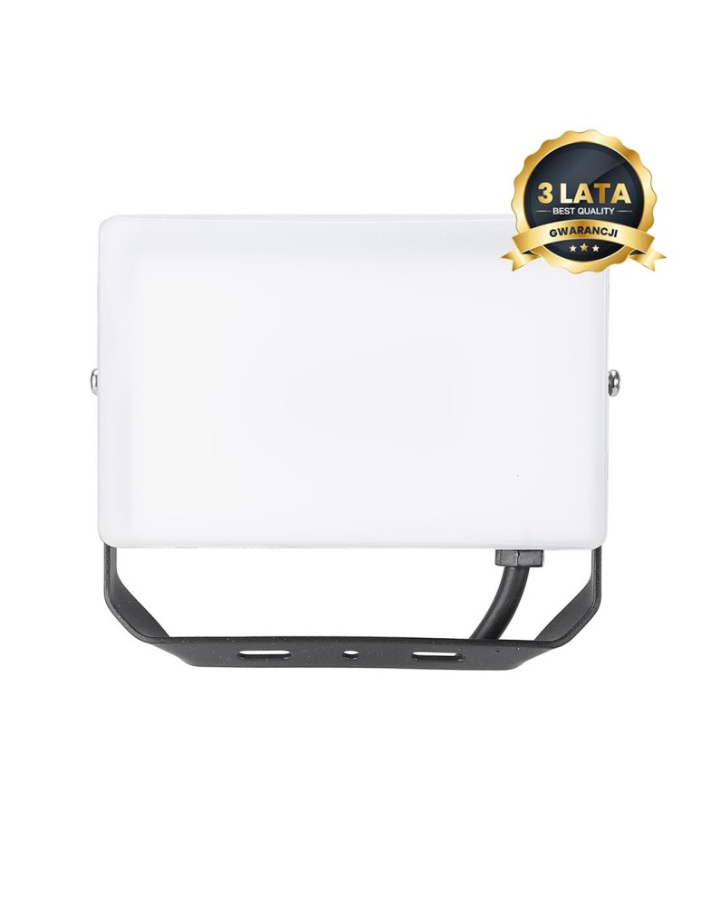 Eko-Light Naświetlacz LED 30W 3000lm 5000K EKN9015