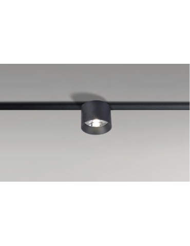 Azzardo GAMMA DANIEL TRACK MAGNETIC 5mm 8W 3000K BK Lampa do Szynoprzewodu Magnetycznego GAMMA AZ5308