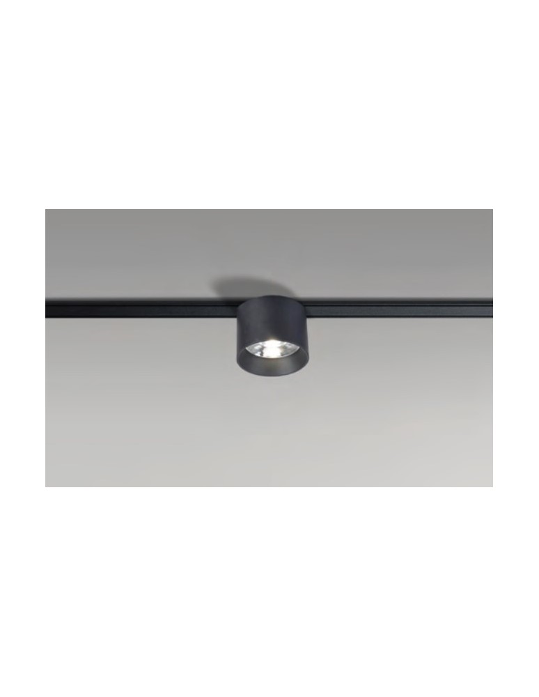 Azzardo GAMMA DANIEL TRACK MAGNETIC 5mm 8W 3000K BK Lampa do Szynoprzewodu Magnetycznego GAMMA AZ5308