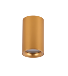 Lampy sufitowe łazienkowe - Azzardo EIGER IP54 GO Oprawa Natynkowa AZ5239 - product 1