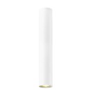 Oprawy sufitowe białe - Zuma Line Loya Lampa Sufitowa C0461-01C-A0S8 Biały mat - product 1