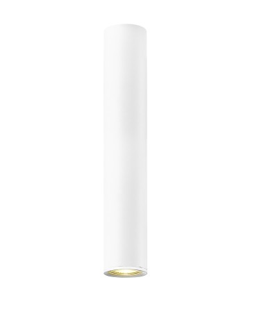 Zuma Line Loya Lampa Sufitowa C0461-01C-A0S8 Biały mat