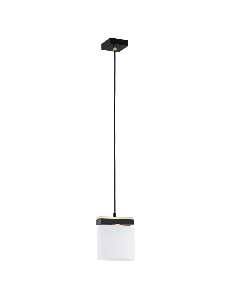 Argon CANOA lampa wisząca 1 pł. 1x15W (max) opal mat czarny 8276