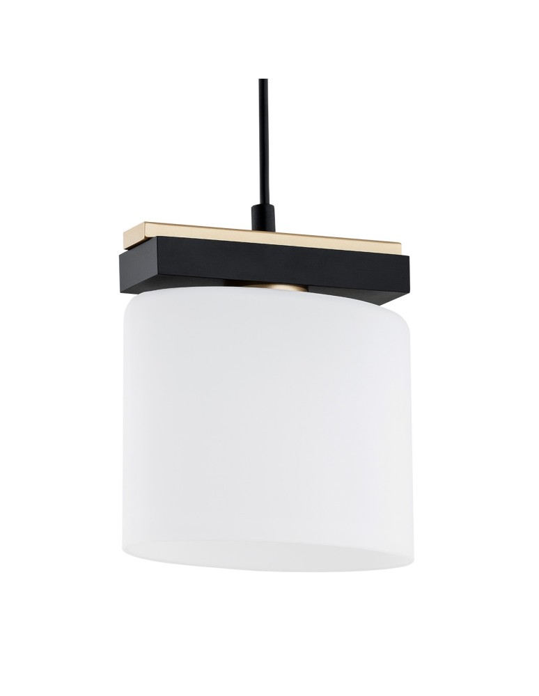 Argon CANOA lampa wisząca 1 pł. 1x15W (max) opal mat czarny 8276