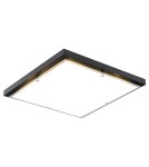 Plafony kwadratowe - Argon CARLSON plafon 2 pł. 2x15W (max) opal mat czarny 7180 - product 1