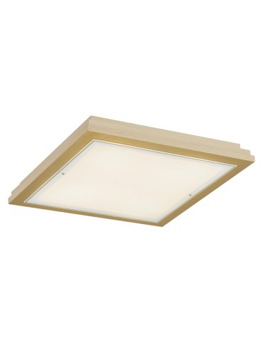 Argon CASERTA plafon 2 pł. 2x15W (max) opal mat złoty 7146