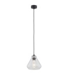 Lampy wiszące pojedyncze - Argon DECORATO lampa wisząca 1 pł. 1x15W (max) transparentny czarny mat 4047 - produkt 1