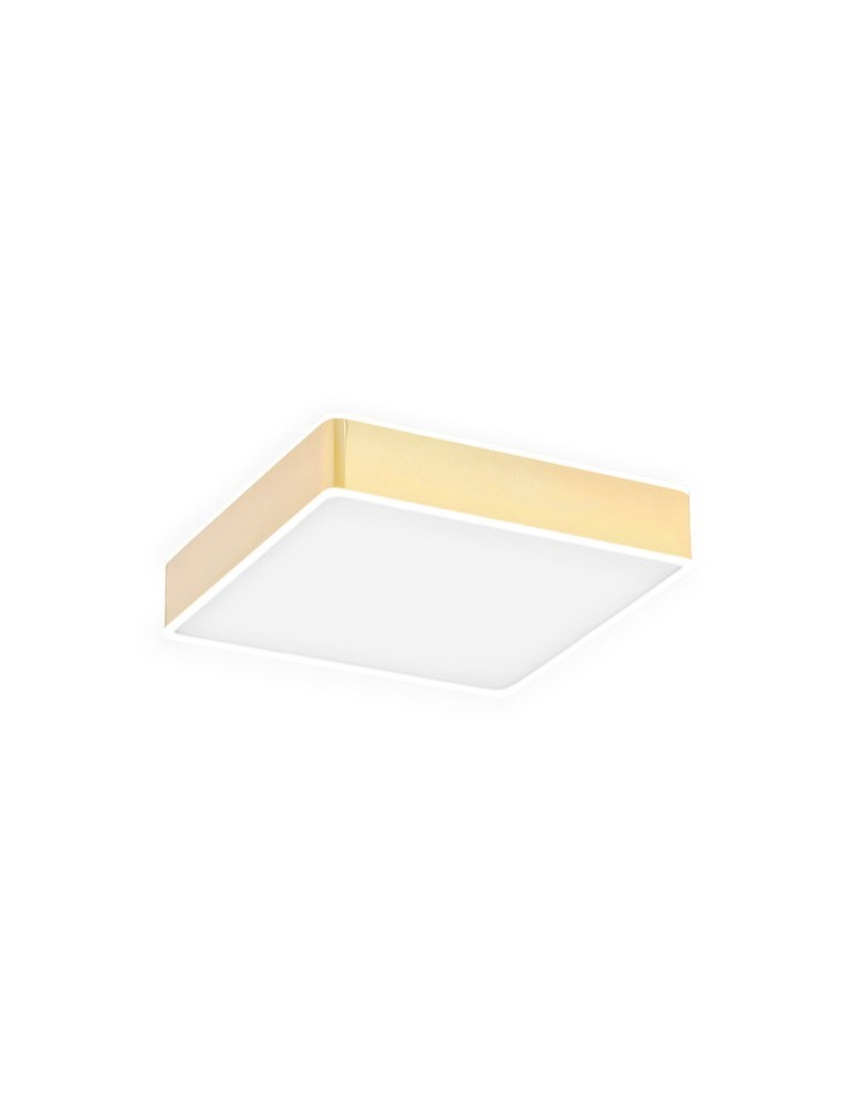 Plafony LED - Argon ATLANTIS plafon LED mały 1x18.5W złoty połysk białe wykończenie 4050 - produkt kolory-swiatla.pl 1