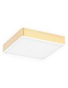Argon ATLANTIS plafon LED mały 1x18.5W złoty połysk białe wykończenie 4050
