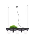 Lampy wiszące nad wyspę - Zuma Line PLANT SHELF lampa wisząca czarna/black - product 4