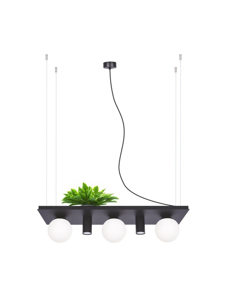Zuma Line PLANT SHELF lampa wisząca czarna/black