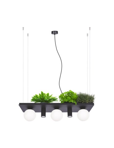 Zuma Line PLANT SHELF lampa wisząca czarna/black - produkt 2