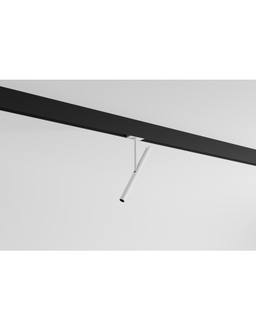 Labra MULTISYSTEM EVO G2 - AD 48V Stik 16 SP On-Off | 1x 7.8W 7.3362EG - produkt 2