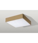 Plafony z pilotem - Azzardo MONZA S 30 CCT + REMOTE CONTROL (CHA) Lampa Natynkowa Szampański AZ4771 - product 1