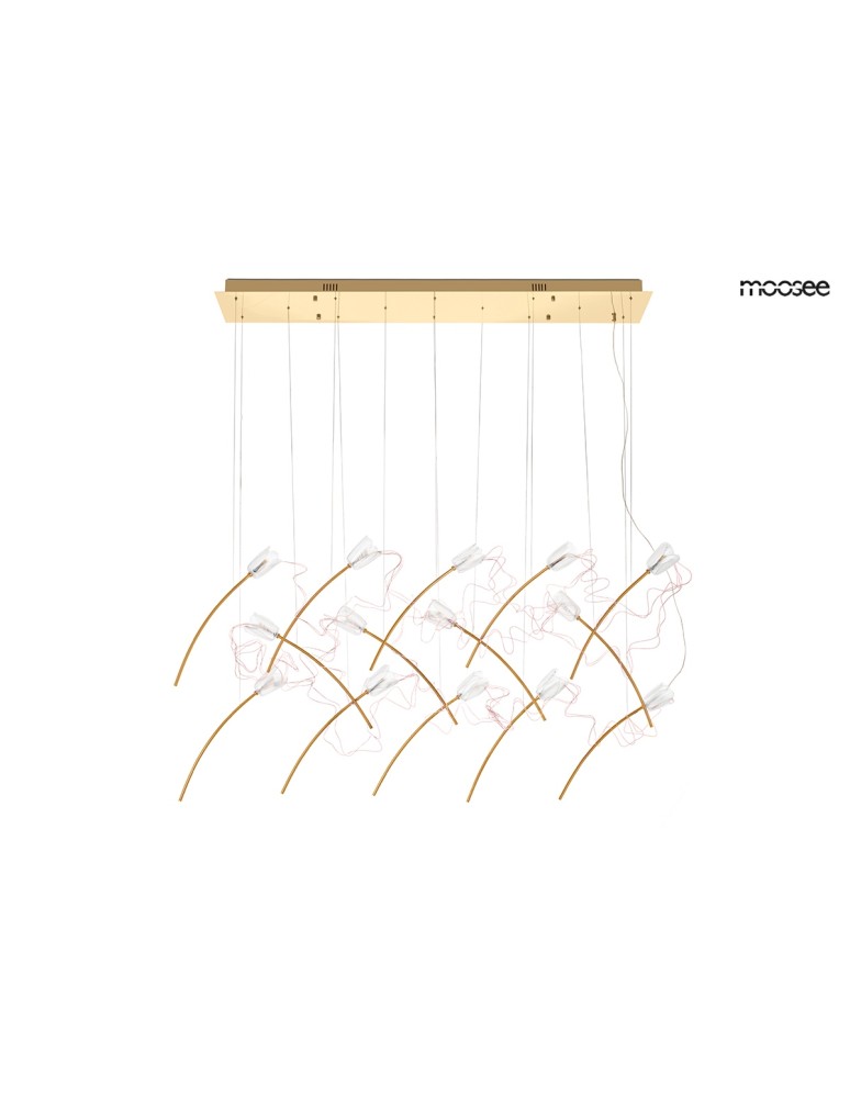MOOSEE lampa wisząca TULIPPE 14 LINE złota (MSE1501100169) MOOSEE lampa wisząca TULIPPE 14 LINE złota (MSE1501100169)