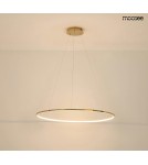 MOOSEE lampa wisząca RING SLIM 80 złota (MSE1501100157) MOOSEE lampa wisząca RING SLIM 80 złota (MSE1501100157)