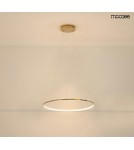MOOSEE lampa wisząca RING SLIM 60 złota (MSE1501100156) MOOSEE lampa wisząca RING SLIM 60 złota (MSE1501100156)