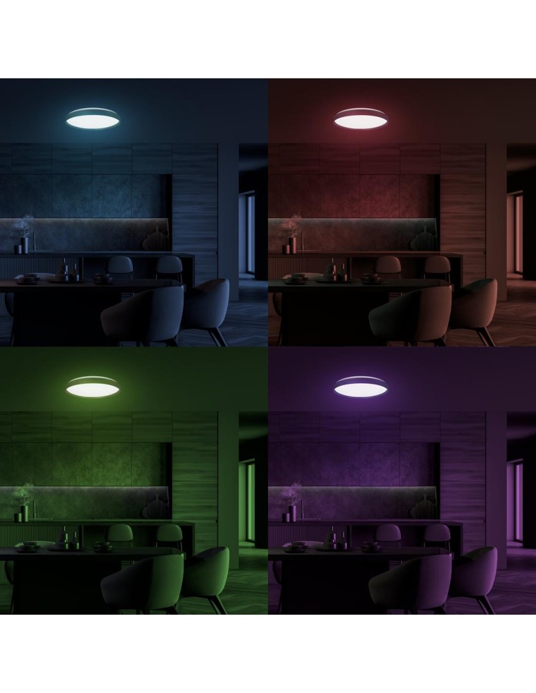 Milagro Plafoniera RINGO RGB 36W  Ø390 mm ML9965