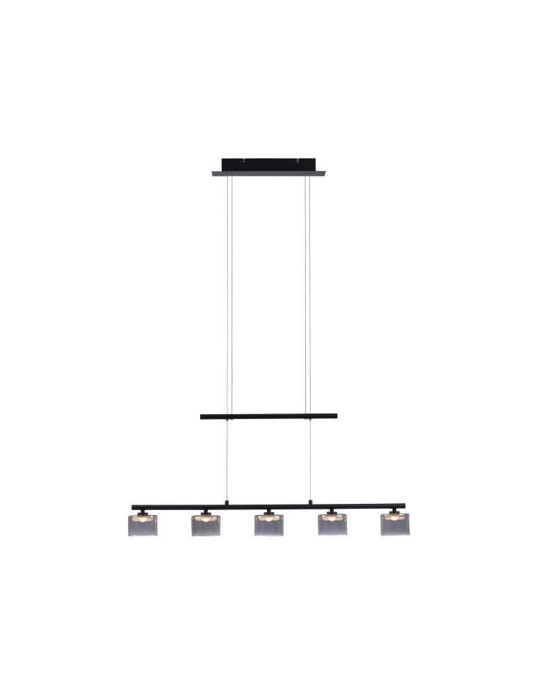 Lampy wiszące na listwie - Paul Neuhaus Hydra Wisząca Regulowana Wysokość 103-180cm Czarny 2209-18 - produkt kolory-swiatla.pl 1